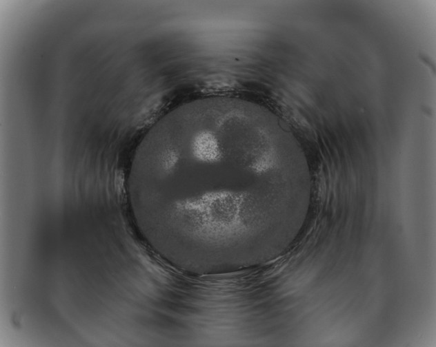 X0000091730711200708311202