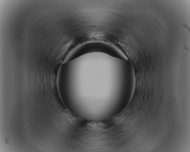 X0000091730712200708311202