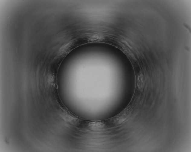 X0000091730714200708311202