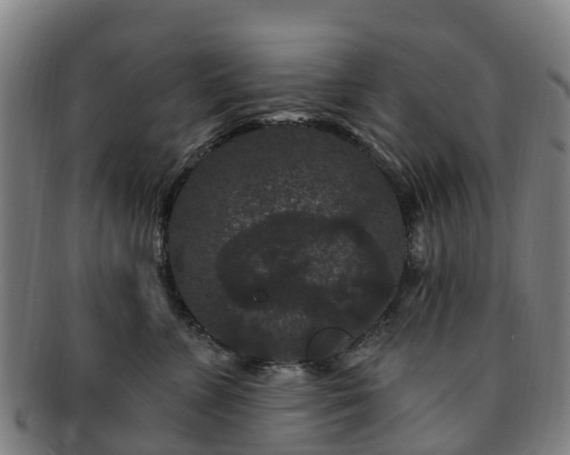 X0000091730715200708311202