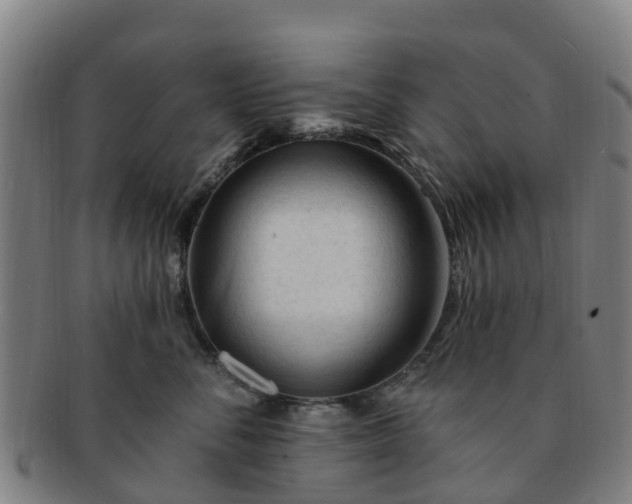 X0000091730716200708311202