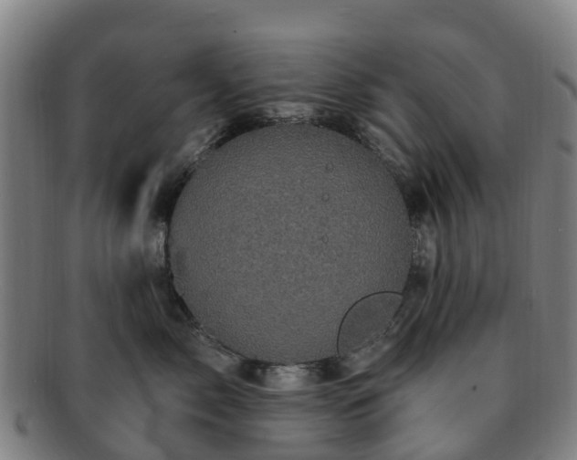 X0000091730717200708311202