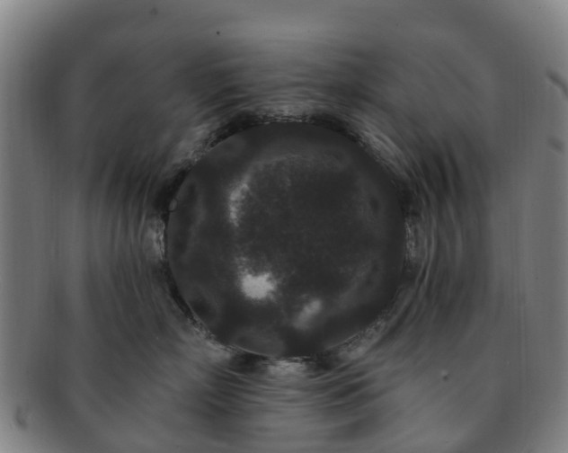 X0000091730718200708311202