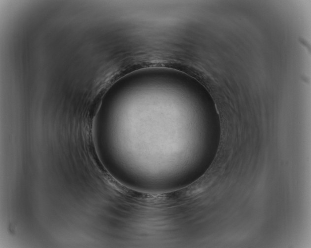 X0000091730720200708311202