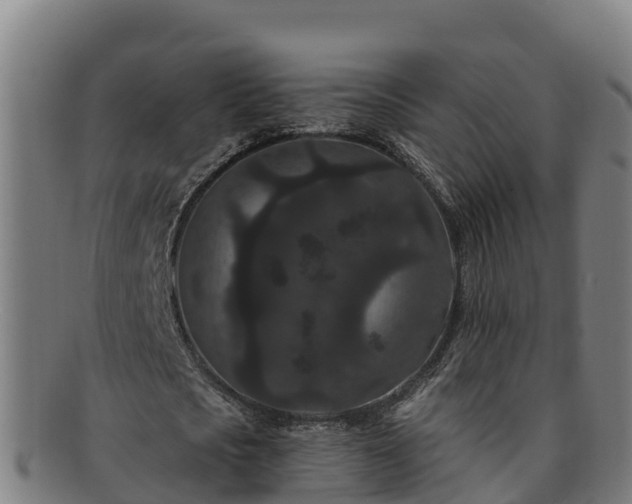 X0000091730721200708311201