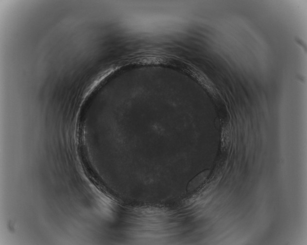 X0000091730722200708311201