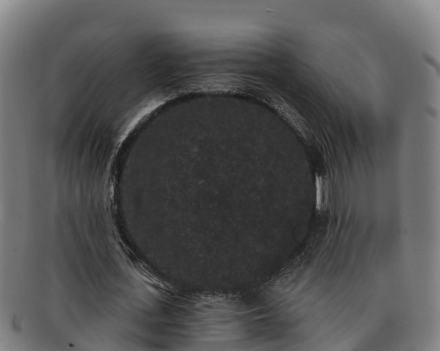 X0000091730723200708311201