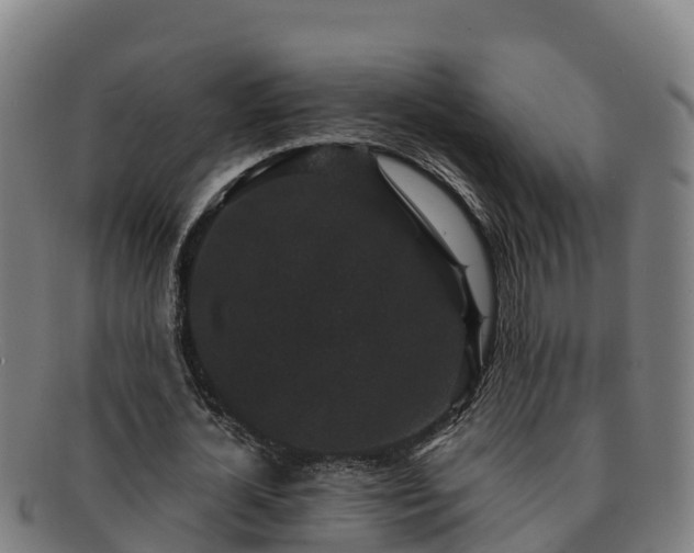 X0000091730724200708311201