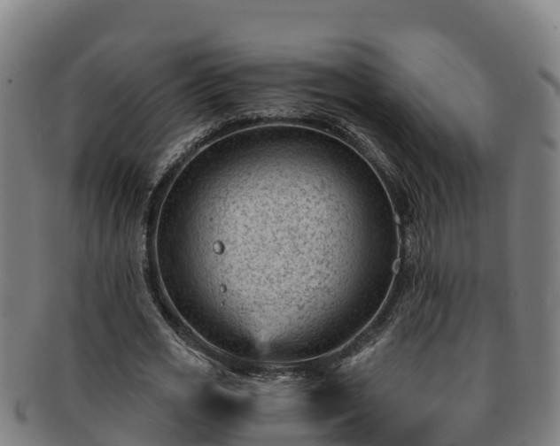 X0000091730725200708311201