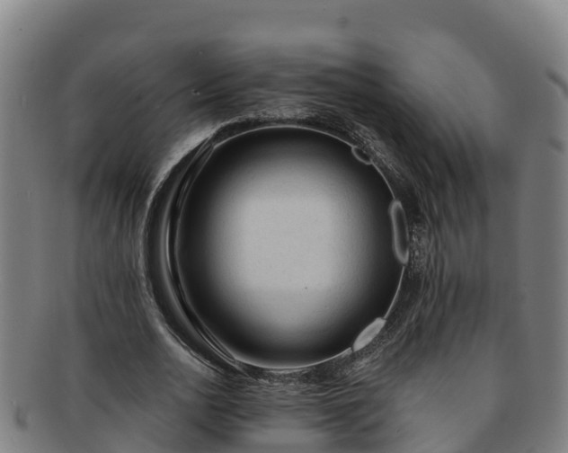 X0000091730726200708311201