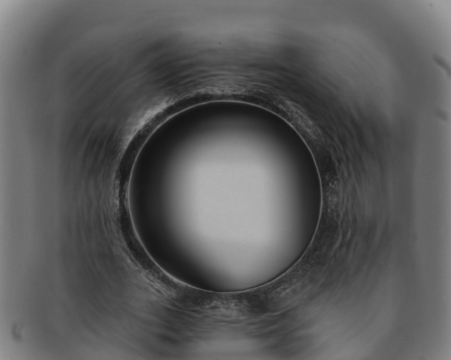 X0000091730727200708311201