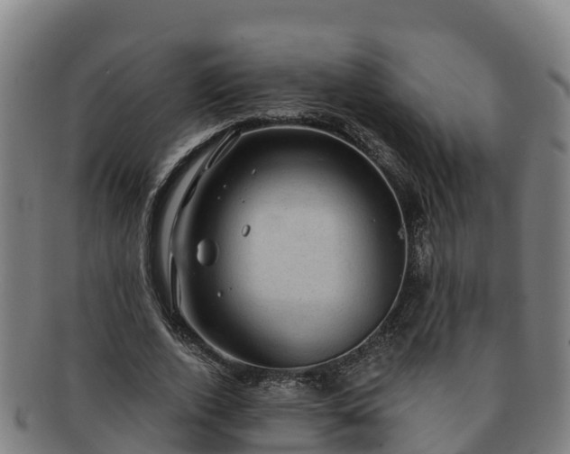 X0000091730728200708311201