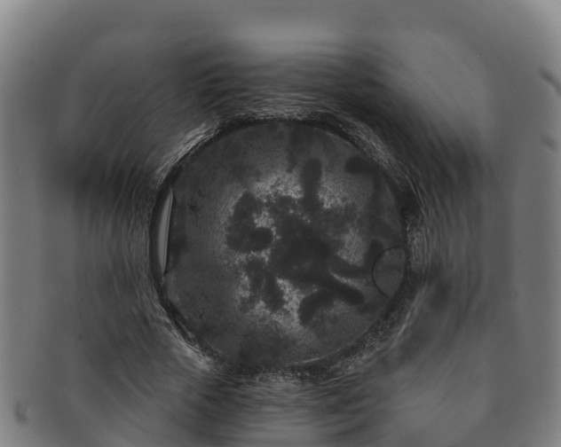 X0000091730729200708311201