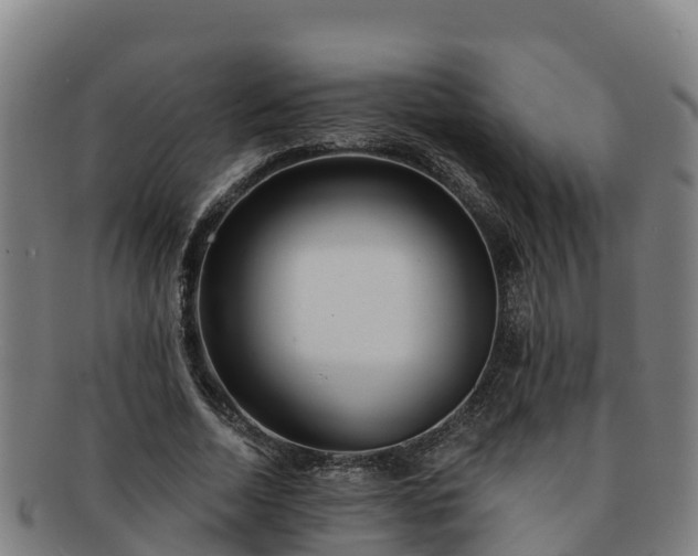 X0000091730730200708311201