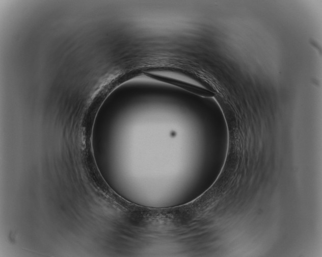 X0000091730731200708311201