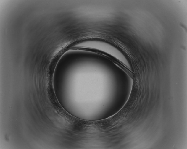 X0000091730732200708311201