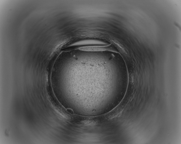 X0000091730733200708311201