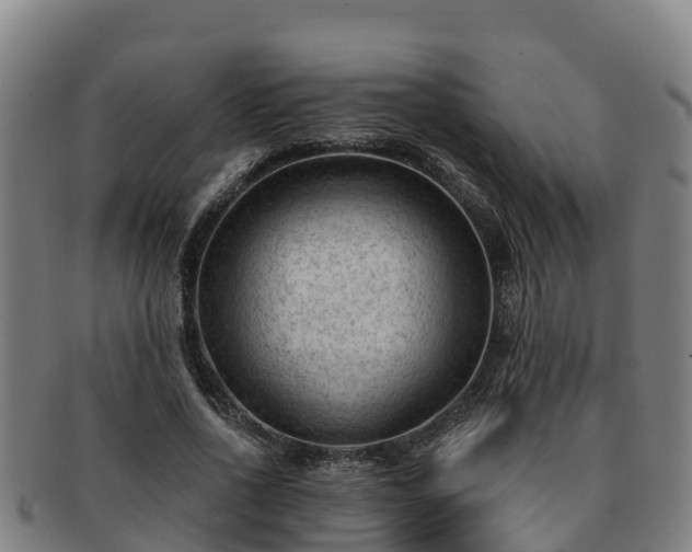 X0000091730734200708311201