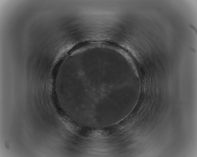 X0000091730736200708311201