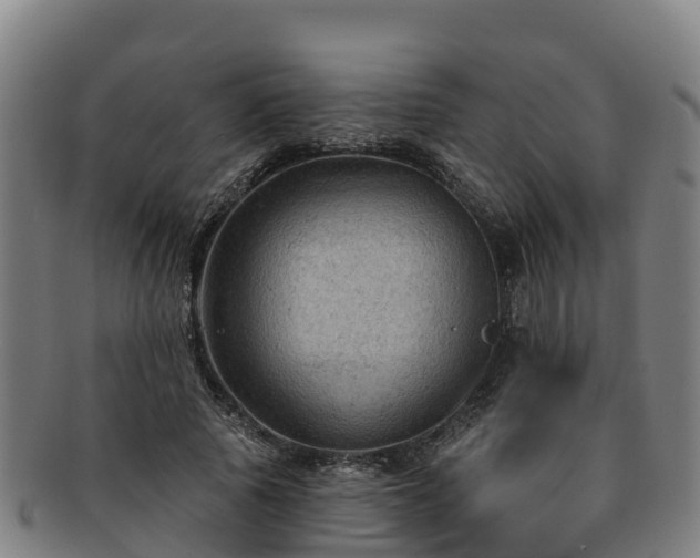 X0000091730737200708311201