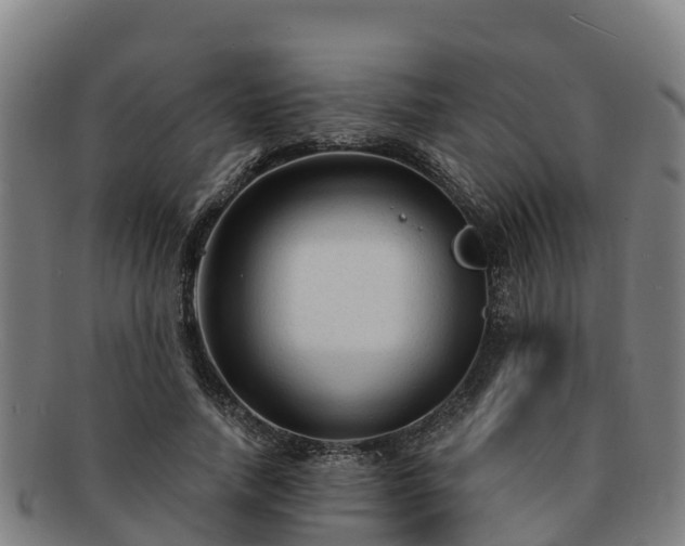 X0000091730738200708311201