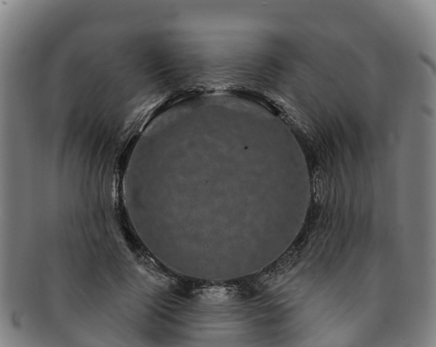 X0000091730740200708311201