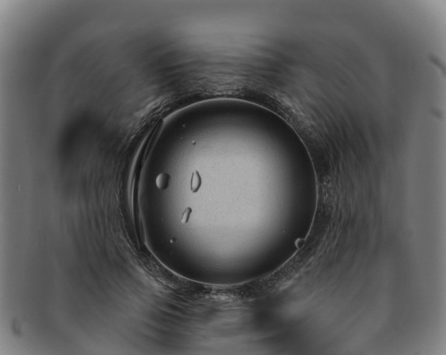 X0000091730741200708311201