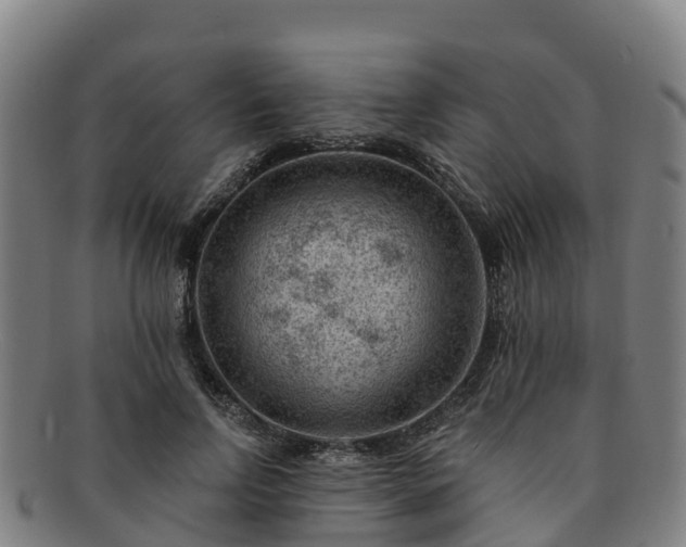 X0000091730742200708311201