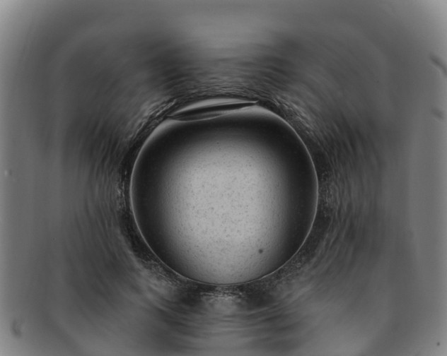 X0000091730743200708311201