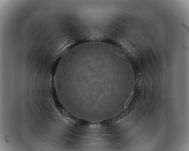 X0000091730744200708311201