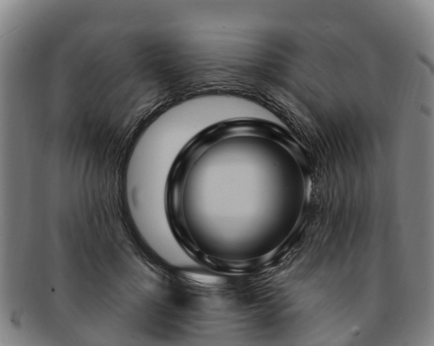 X0000091730748200708311201