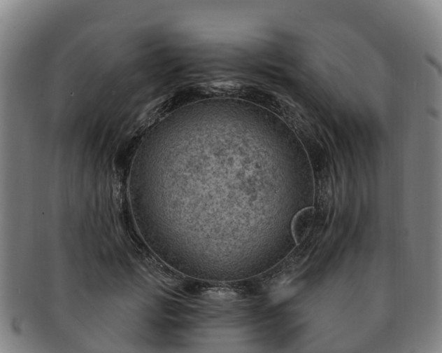 X0000091730749200708311201