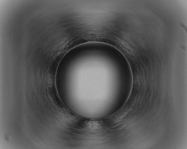 X0000091730751200708311201