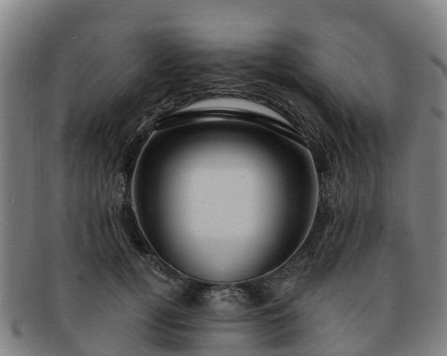 X0000091730752200708311201