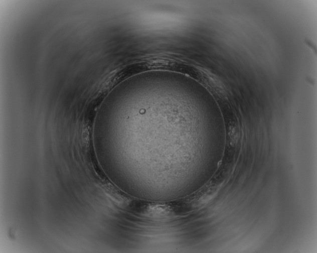 X0000091730753200708311201
