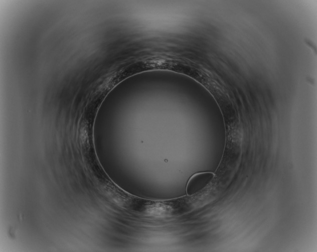 X0000091730754200708311201