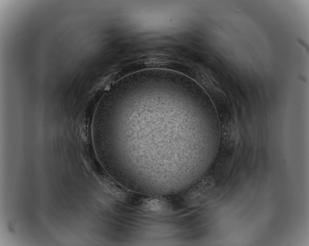 X0000091730755200708311201