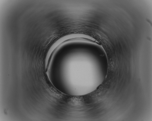 X0000091730756200708311201