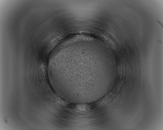 X0000091730757200708311201