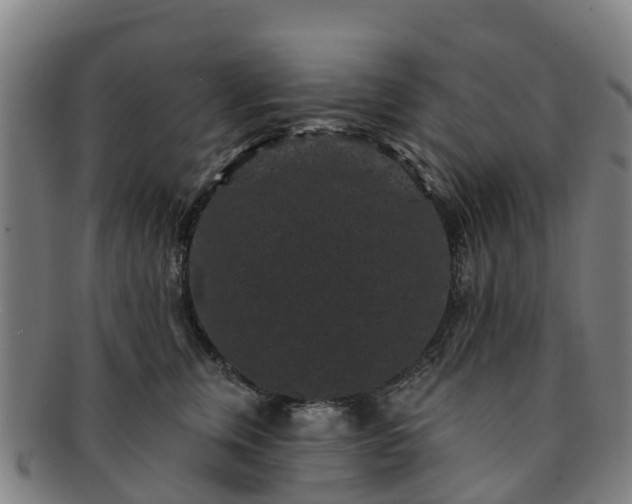 X0000091730759200708311201
