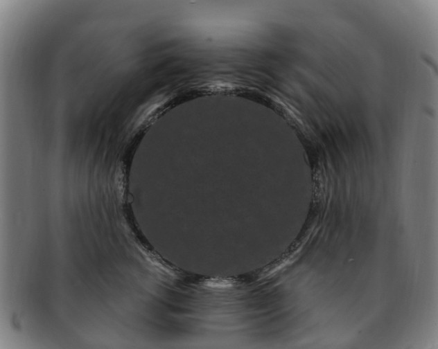 X0000091730762200708311201