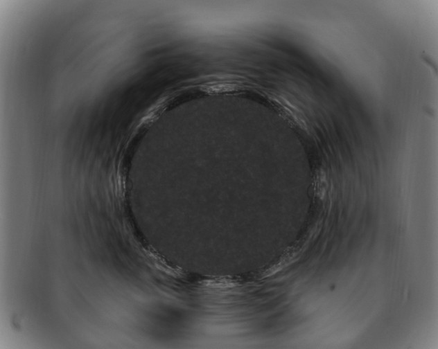 X0000091730763200708311201
