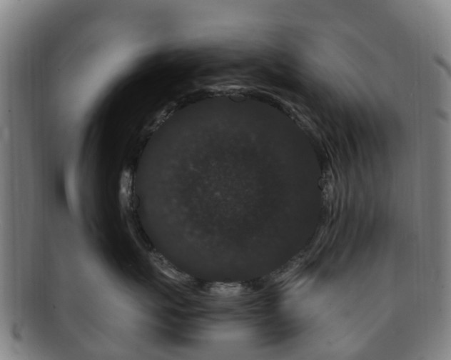 X0000091730767200708311202