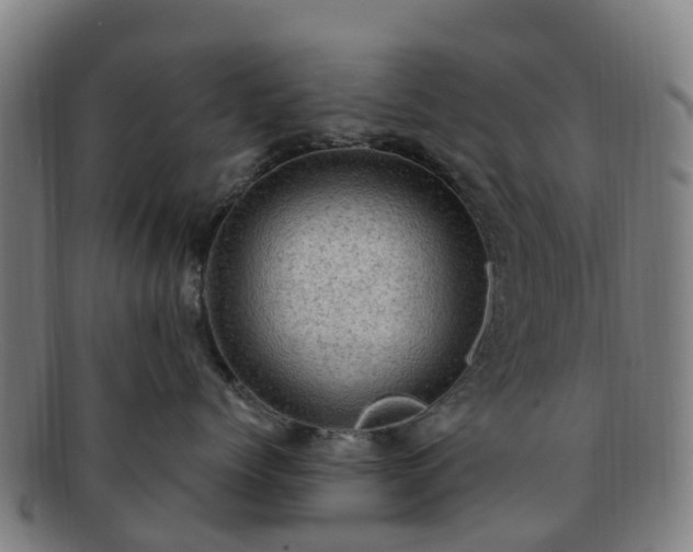 X0000091730768200708311202
