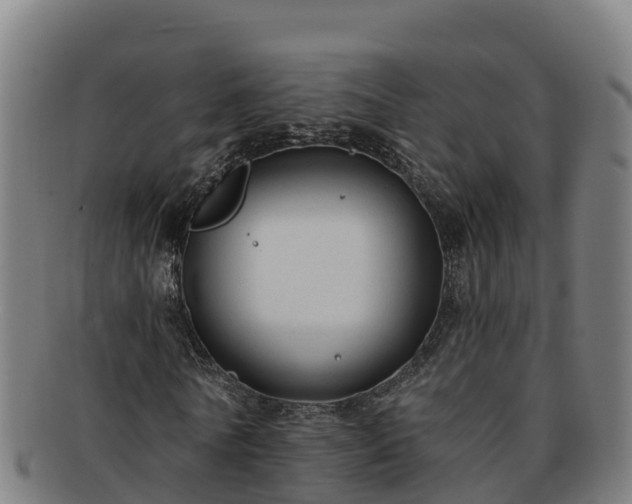 X0000091730770200708311201