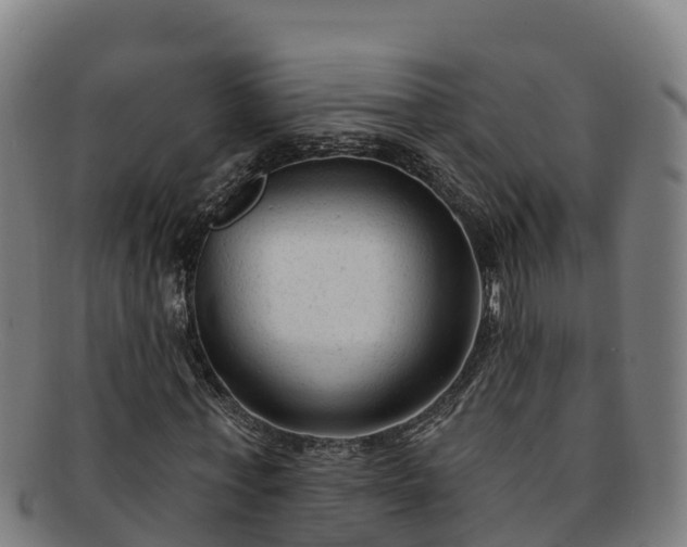 X0000091730771200708311201