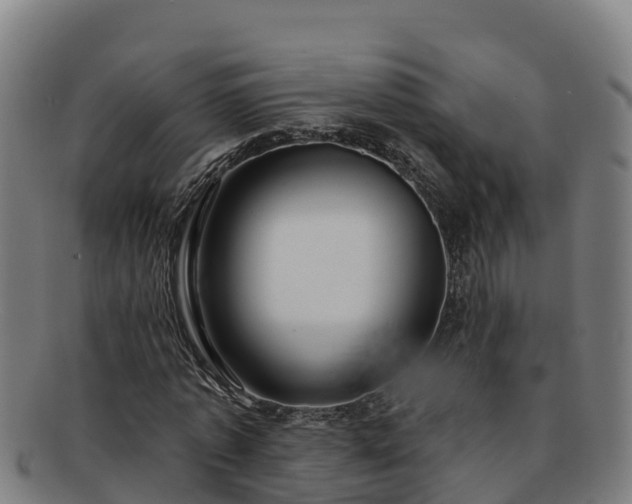 X0000091730773200708311201