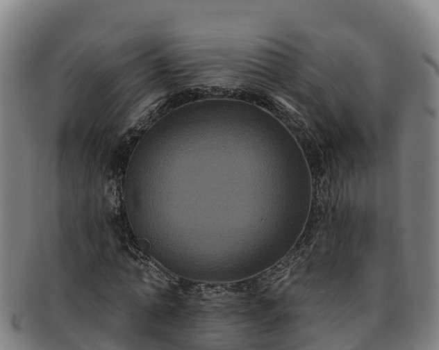 X0000091730774200708311201