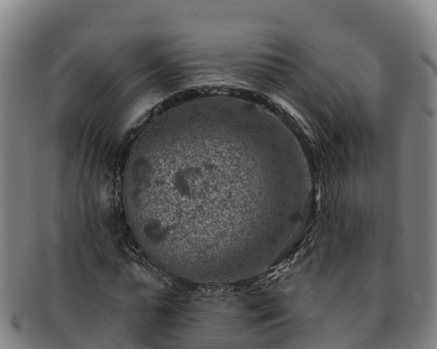 X0000091730775200708311201