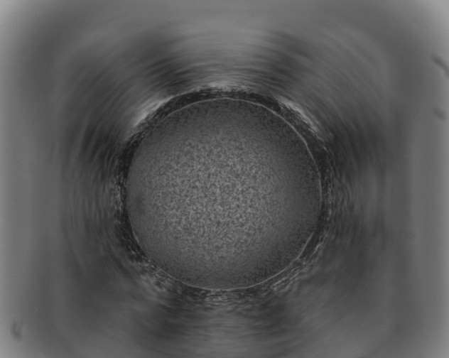 X0000091730776200708311201